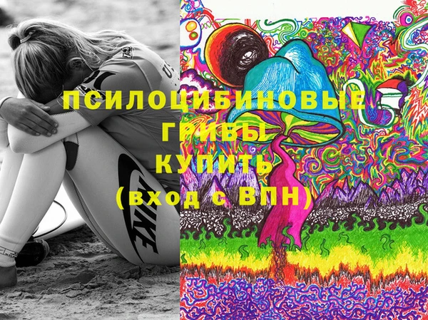 МДПВ Нязепетровск